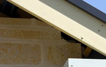 soffit repair Scothern